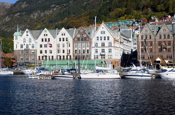 Озил, Норвегия — стоковое фото