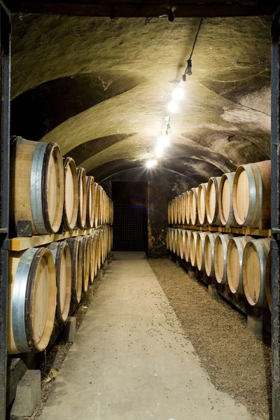 Wine cellar in Burgundy — Stock Photo, Image