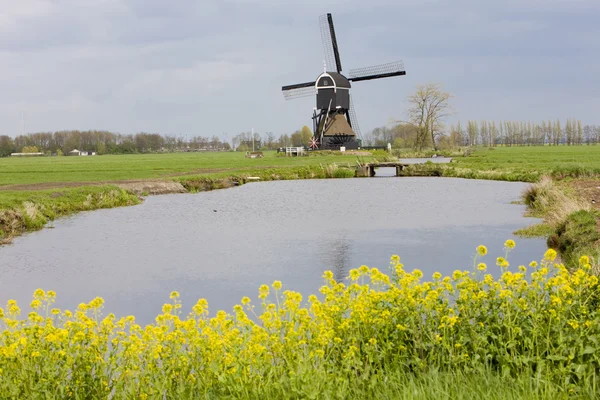 Moinho de vento perto de Steefkerk, Países Baixos — Fotografia de Stock
