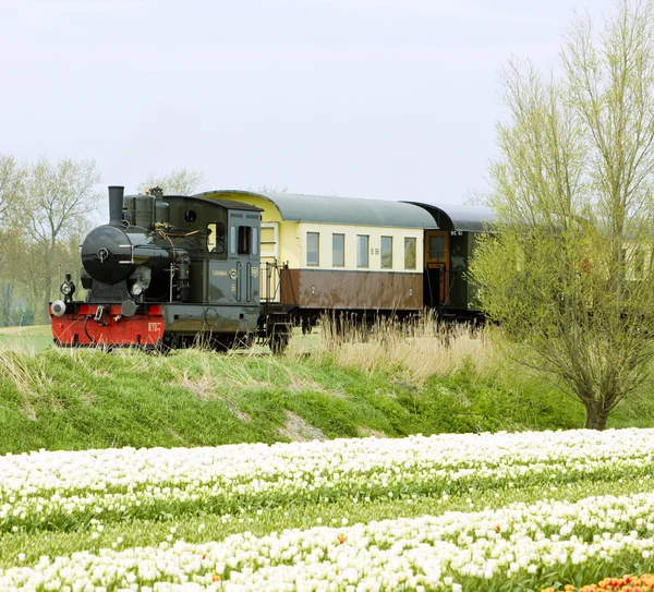 Steam train — Stock Photo, Image