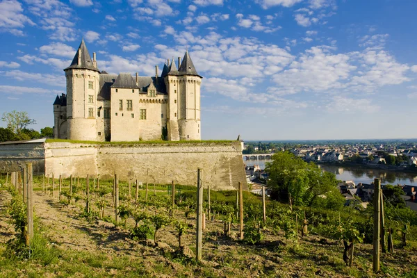Το Chateau de saumur — Φωτογραφία Αρχείου