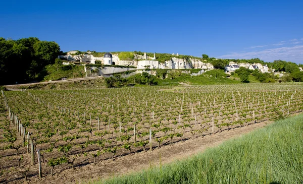法国卢瓦尔河谷的葡萄园， — 图库照片