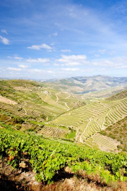 Douro Valley clipart