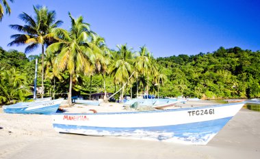 Maracas Bay, Trinidad clipart