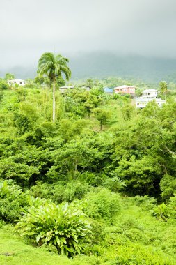 grenada, Karayipler iç