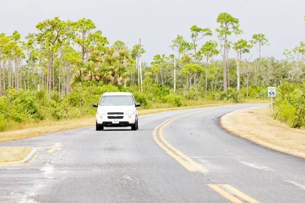 エバーグレーズ国立公園、フロリダ、米国の道 — ストック写真
