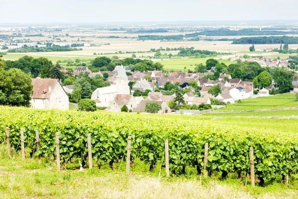Vingård, Bourgogne, Frankrike — Stockfoto