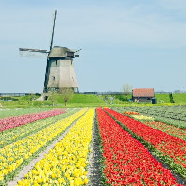 Windmill, Netherlands clipart