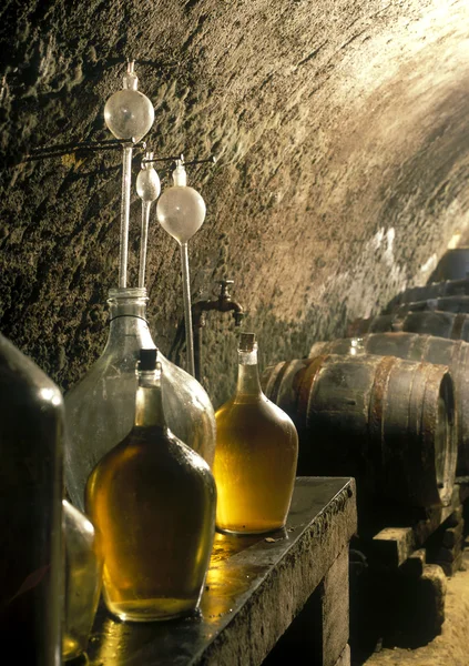 Wine cellar — Stock Photo, Image