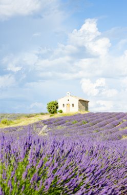 Provence, Fransa