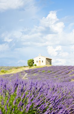 Provence, France clipart