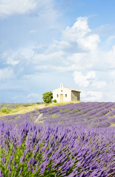 Provence, Francia — Foto Stock