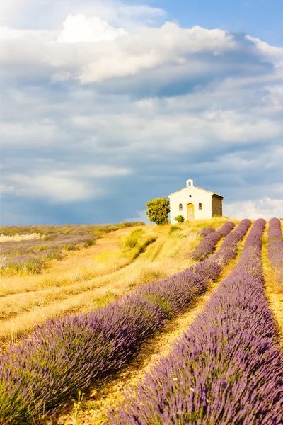 Provence, Fransa — Stok fotoğraf