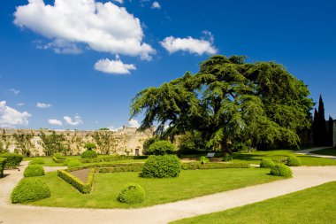 Garden of Chateau de Montreuil-Bellay clipart
