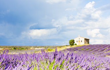 Provence, France clipart