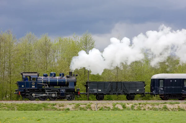Tren de vapor —  Fotos de Stock