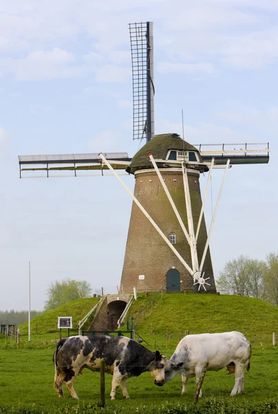 Вітряк, Нідерланди — стокове фото