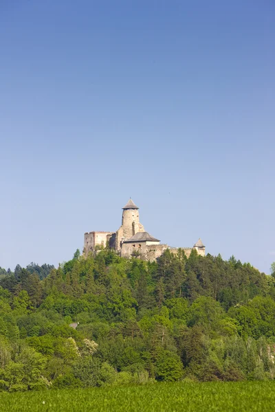 Castelo de stara lubovna — Fotografia de Stock