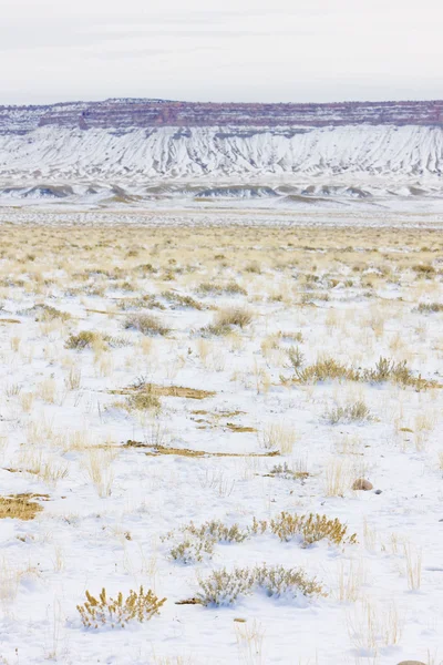 Téli táj, Colorado, Amerikai Egyesült Államok — Stock Fotó