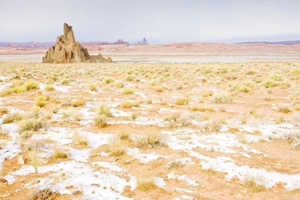 Winterlandschap van arizona, usa — Stockfoto