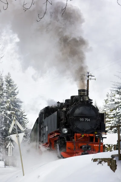 Locomotiva a vapor — Fotografia de Stock