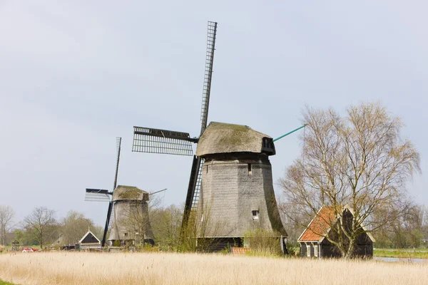 Windmolens in de buurt van alkmaar — Stockfoto