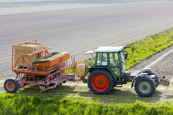 Трактор на поле — стоковое фото