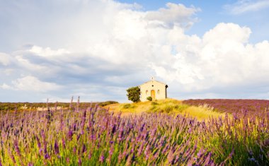 Provence, Fransa