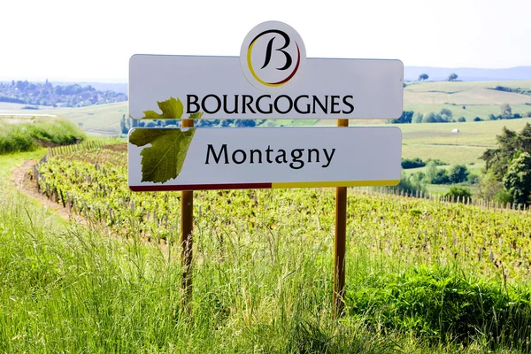 Vinic Côte chalonnaise regionu — Stock fotografie