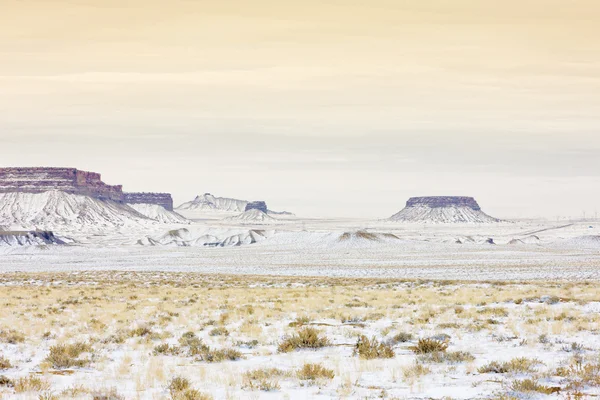 Зимний пейзаж Колорадо, США — стоковое фото