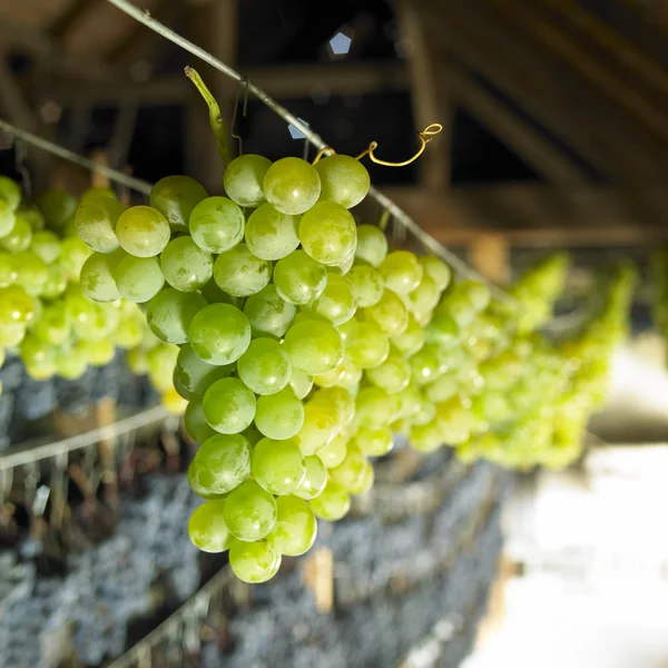 Secagem de uvas para vinho de palha — Fotografia de Stock