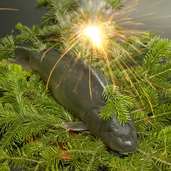 クリスマスの鯉 — ストック写真