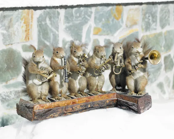 Stuffed squirrels band — Stock Photo, Image