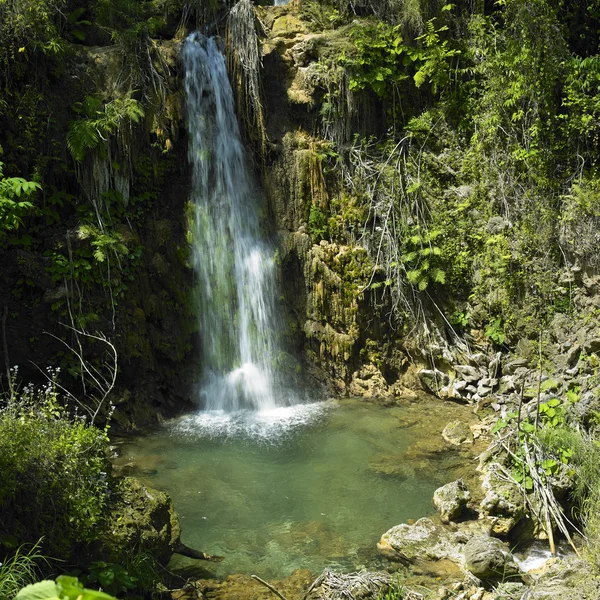 Cascata di El Nicho — Foto Stock