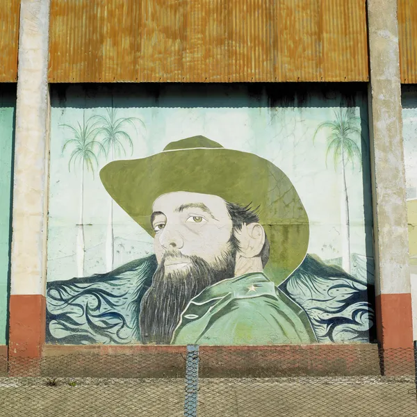 Political mural painting (Fidel Castro), Ceiba Hueca, Granma Pro — Stock Photo, Image