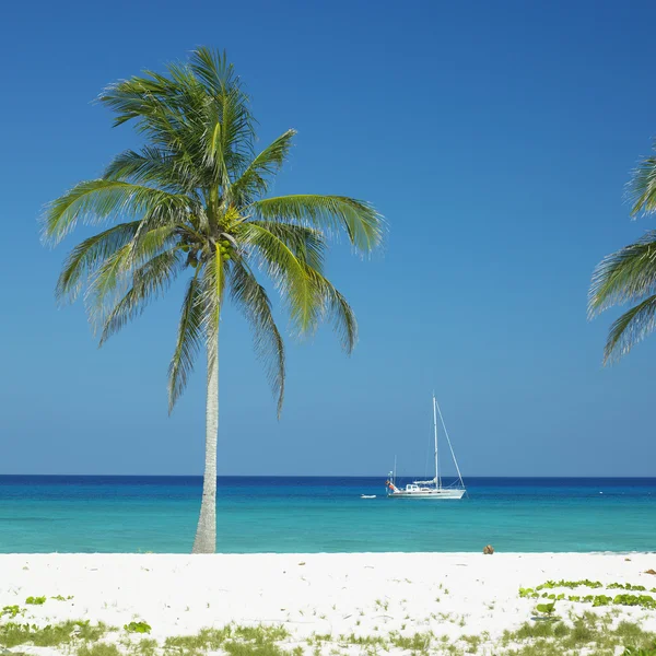 Yacht, Karibiska havet, mar — Stockfoto