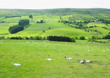 Sperrin Mountains, County Tyrone, Northern Ireland clipart