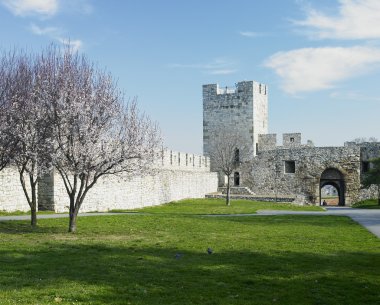 Fortress Kalemegdan clipart