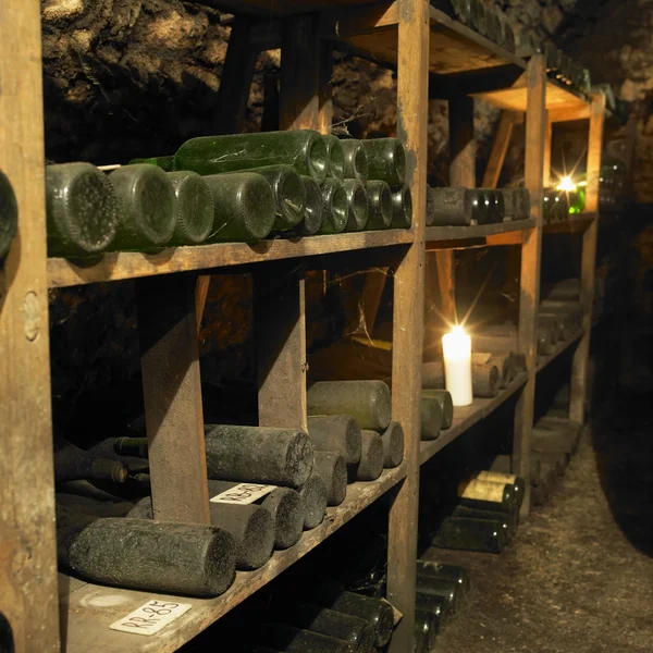 Архив вин — стоковое фото