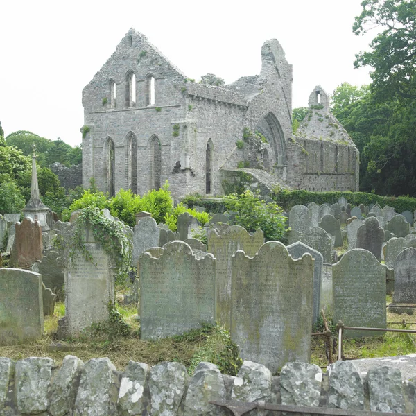 Ruinerna av grå abbey — Stockfoto