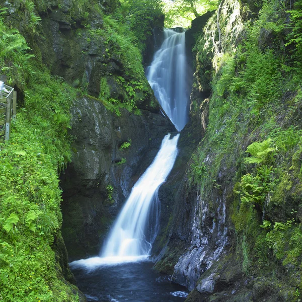 Гленарифские водопады — стоковое фото