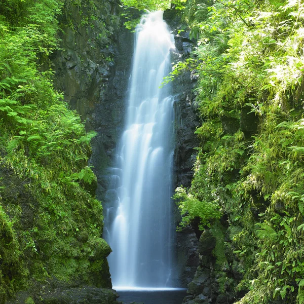 Cranny Falls. — Foto de Stock