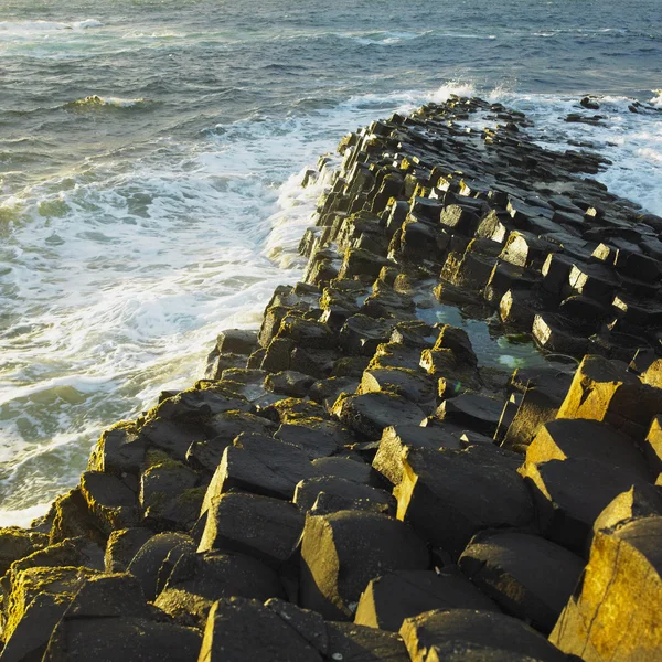 Giant's Causeway — Stock Photo, Image