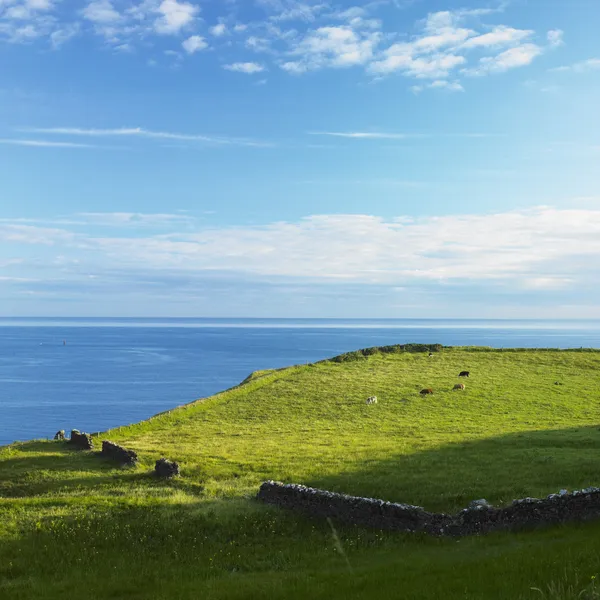 海景、北アイルランド — ストック写真