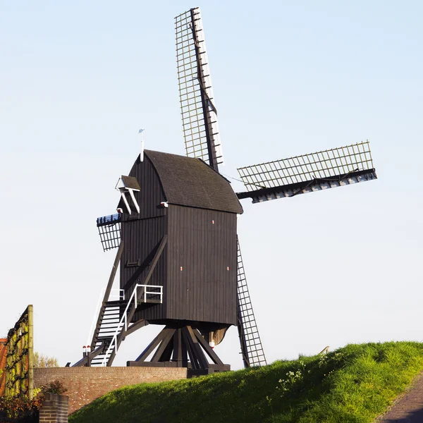 풍차, 네덜란드 — 스톡 사진