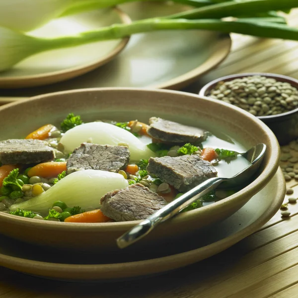 stock image Beef soup