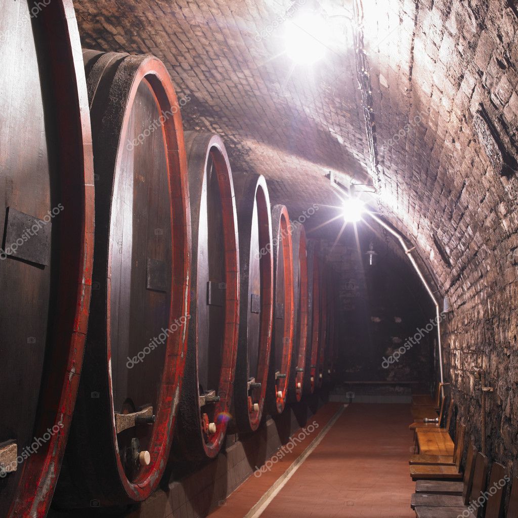 Wine cellar — Stock Photo © phb.cz 4221452