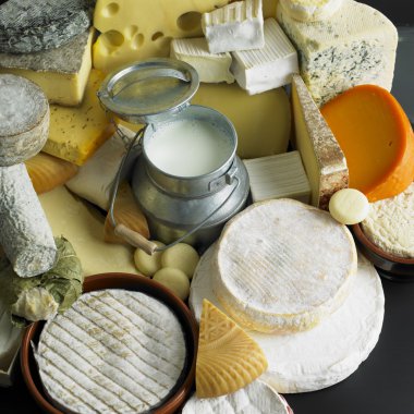 Cheese still life clipart