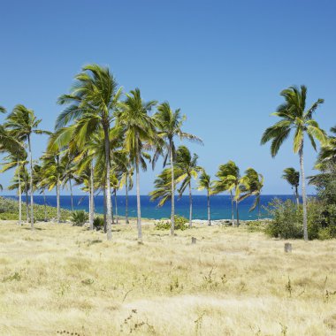 Bahia de Bariay clipart