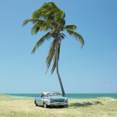 Old car, Cuba clipart